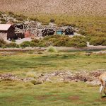 Licancabur volcano expedition & San Pedro