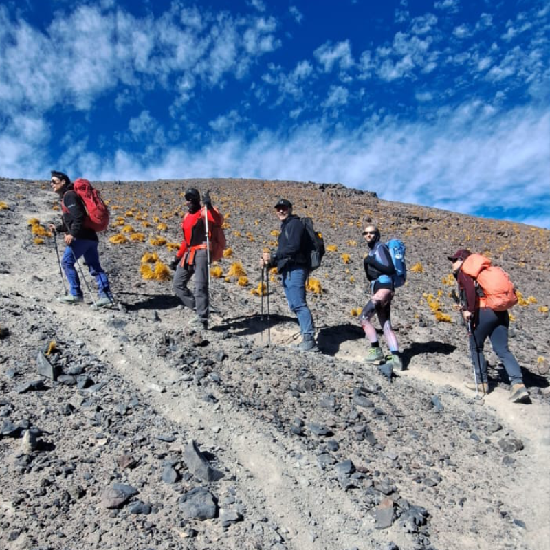 HME Season Highlight 6