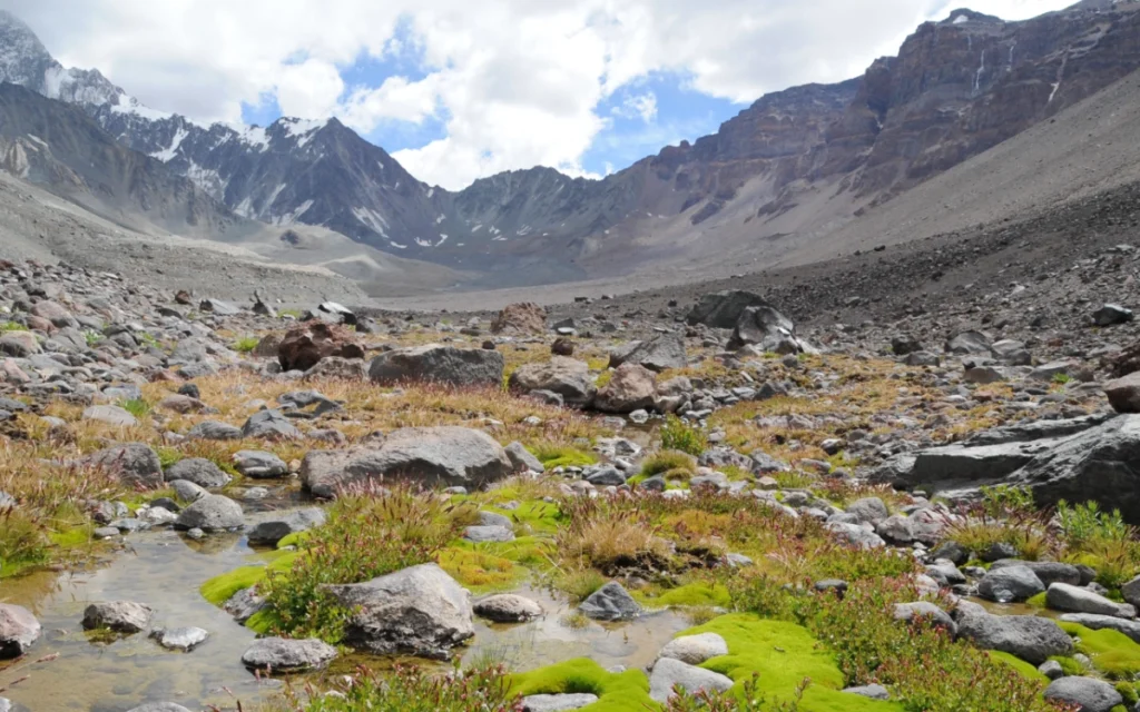MarmolejoExpedition_007