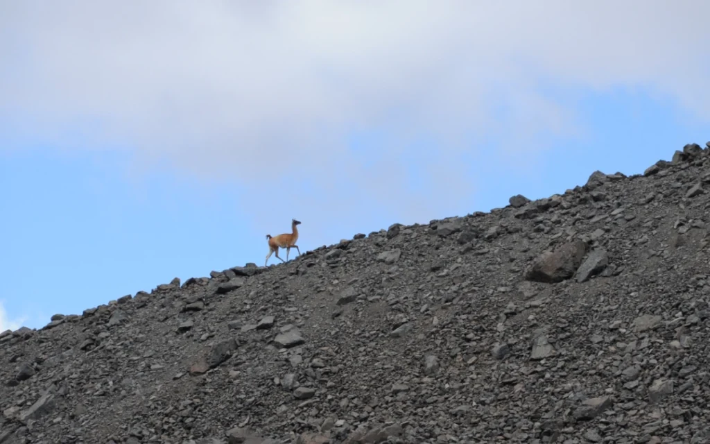 MarmolejoExpedition_008