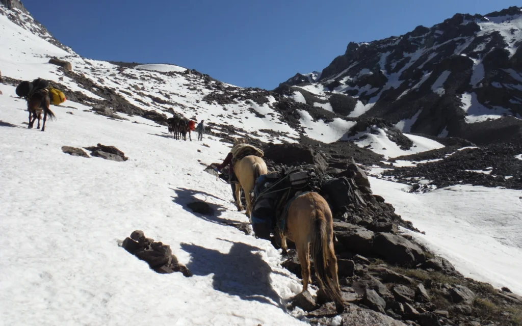 Caravana de Mulas en Nieve - Expedición Marmolejo Día 1