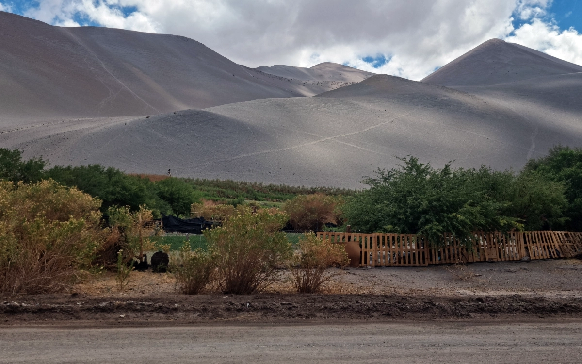 Don Juan campsite valley in Atacama Desert during Ojos del Salado 14-day expedition.